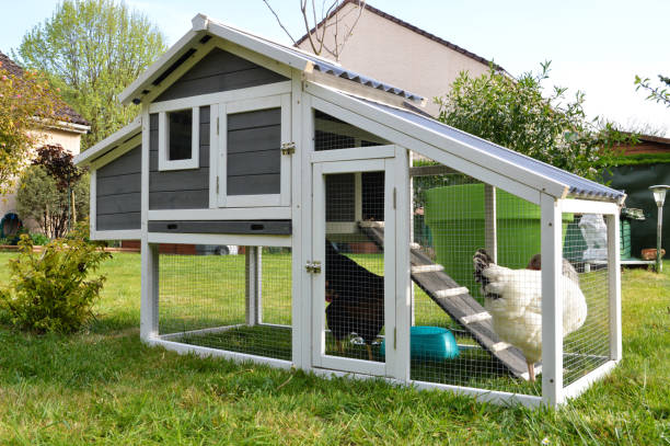 Chicken coop