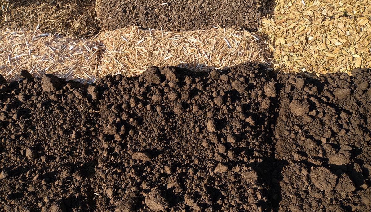 A well-managed compost pile with layers of chicken manure and carbon-rich materials