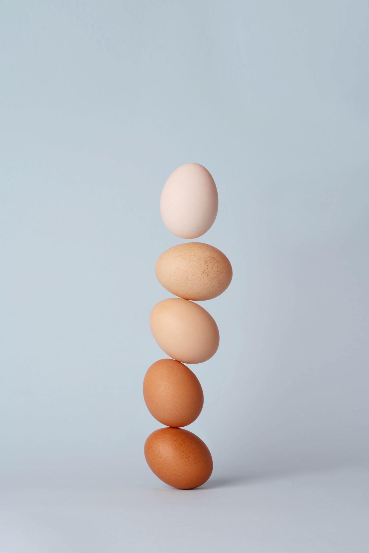 Diagram illustrating the factors influencing egg production in chickens